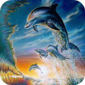 Dolphins live wallpaper icon