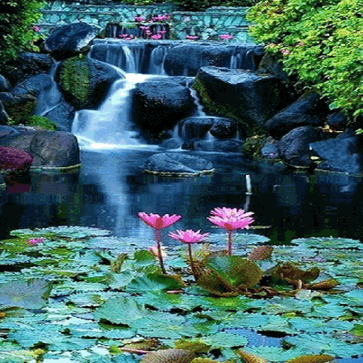 Lotus Garden Live Wallpaper icon