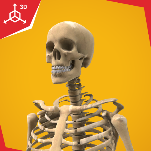 Human Skeletal System icon