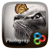 Photography GO Launcher Theme icon