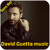 David Guetta music icon