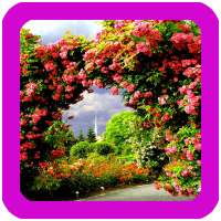 Rose Garden Wallpaper on 9Apps