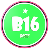 B16 Selfie Camera - Bestie icon