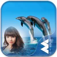 Dolphin Photo Frames on 9Apps