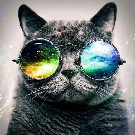 Hipster Wallpapers icon