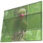 Sliding Photo Puzzle icon