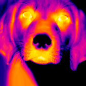 Camera Filter Effect: Flashlight icon