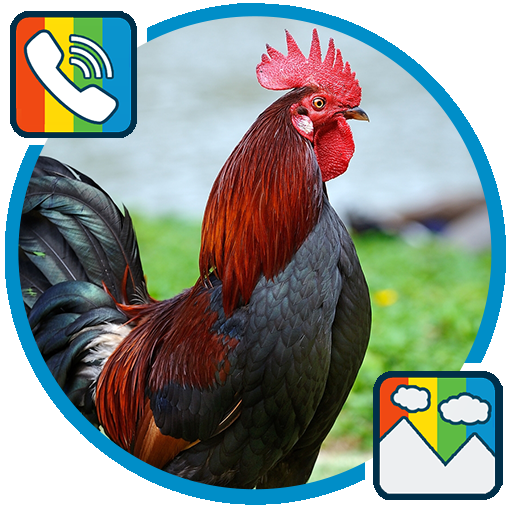 Rooster - RINGTONES and WALLPAPERS icon