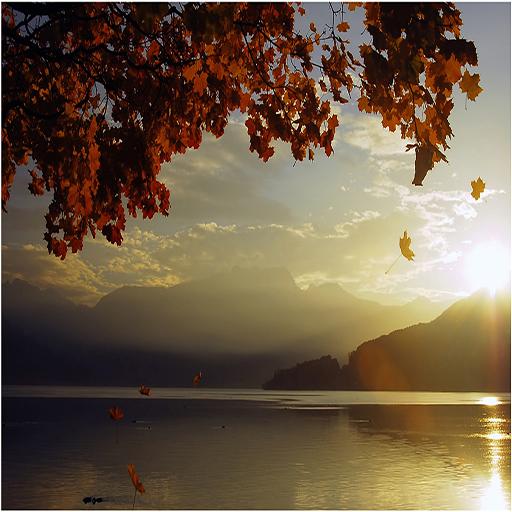 موسيقى هادئة بدون نت иконка