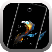 Betta Fish Live Wallpaper Free icon