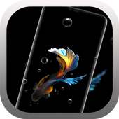 Betta Fish Live Wallpaper Free