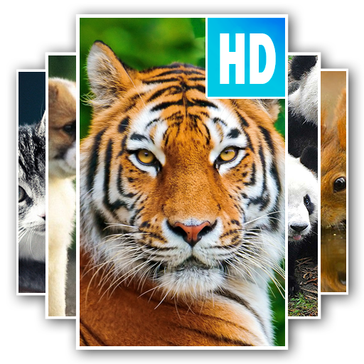 Free Animal Wallpaper icon