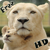 Animal sounds For Kids Learning-Tiger Monkey 2017 icon