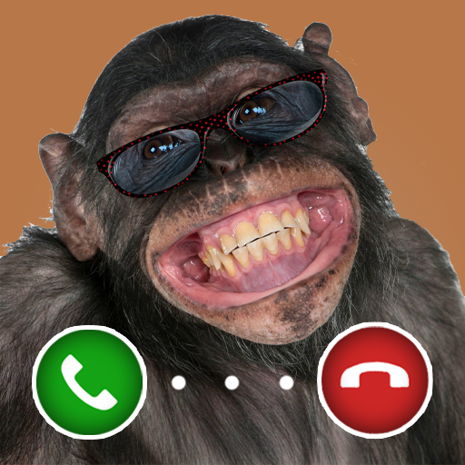 Monkey Prank Video Call icon