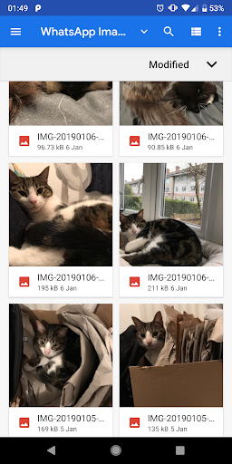 PDF Converter (Text, Image, Web to PDF) screenshot 2