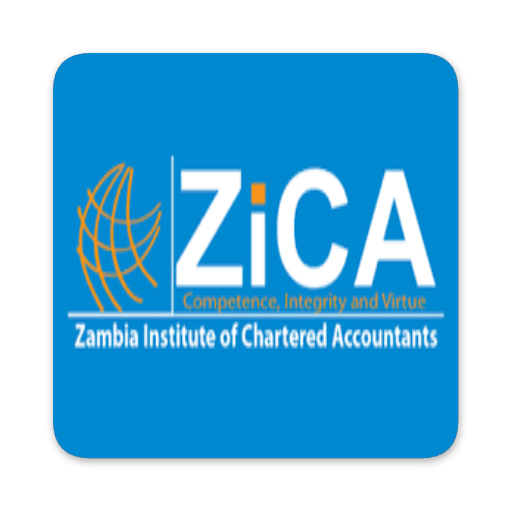 ikon ZICA Revision Kit