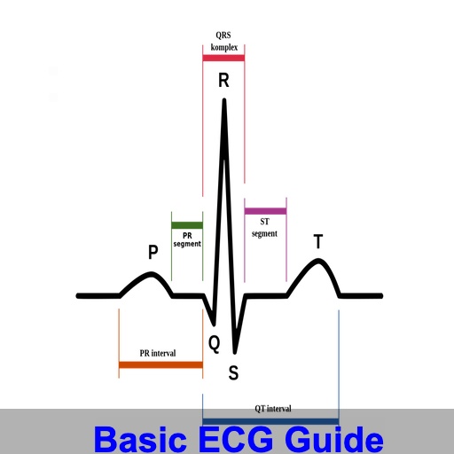 Basic ECG Guide icon