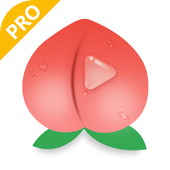 Peach Browser Pro icon