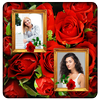 Red Rose Photo Collage Frames icon