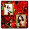 Red Rose Photo Collage Frames