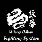 Wing Chun Fighting System