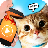 Cat Translator Simulator icon