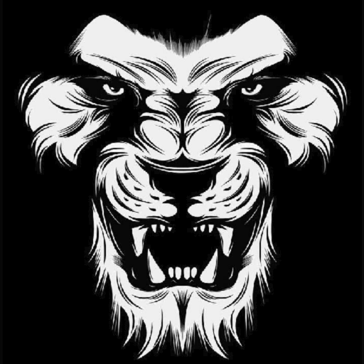 Correct Score Fixed Match Tips icon