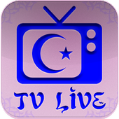 TV ARAB SAT INFO icon
