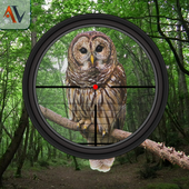 Hunting Birds In Desert icon