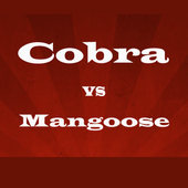 Cobra vs Mangoose Fight Videos icon