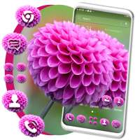 Dahlia Flower Theme on 9Apps