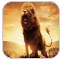 Lion Wallpapers HD on 9Apps