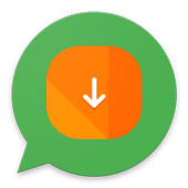 Save  status icon