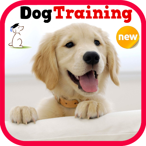 Dog Training icon