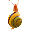 Snail simulator icon