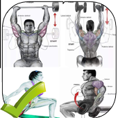 full Body Workouts Ultimate icon