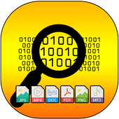 Files Recovery icon