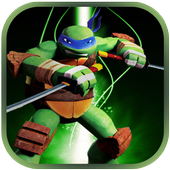 The Turtle Fight Ninja icon