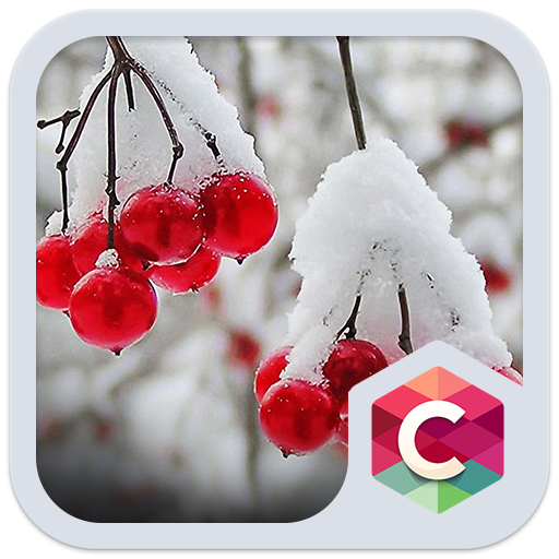 Snowy Cherry C launcher Theme icon