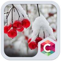 Snowy Cherry C launcher Theme on 9Apps