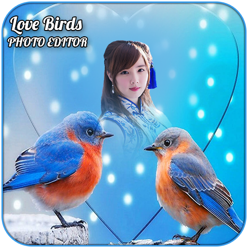 Love Birds Photo Editor icon