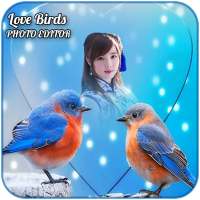 Love Birds Photo Editor on 9Apps