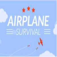 Airplane Survival