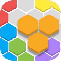 Hexa Puzzles Fill Block Me