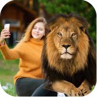 Lion Photo Editor – Tiger Photo Frames on 9Apps