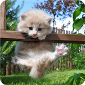 Animal Translate(Prank Funny) icon