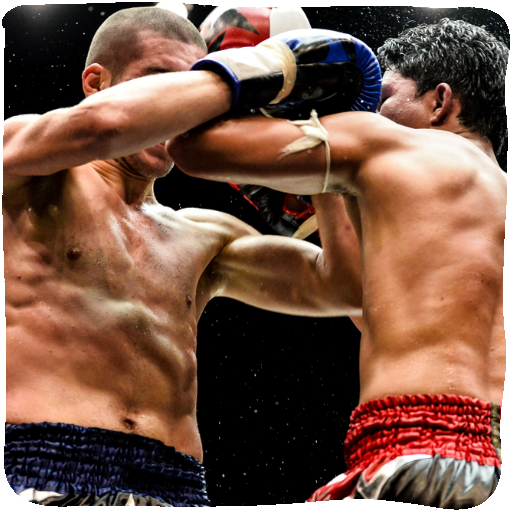Muay Thai Training Guide icon