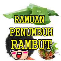 Ramuan Herbal Penumbuh Rambut Paling Mujarab on 9Apps