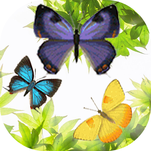 Butterfly and Blossom live wallpaper icon