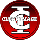 CLEAN IMAGE MOBILE DETAILING icon
